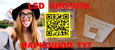 PSILOCYBIN Моздок