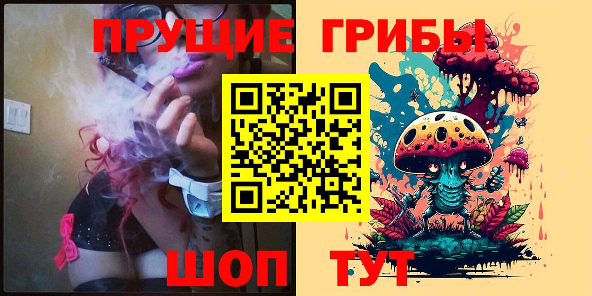 Губаха  цена   Вход с VPN  Галлюциногенные грибы Psilocybe  Галлюциногенные грибы GOLDEN TEACHER 